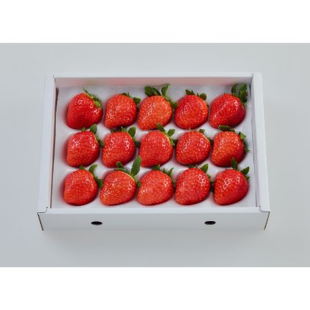 「苺」　香川県オリジナル品種　”さぬきひめ”　11～1月出荷　400g