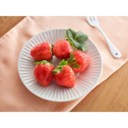 「苺」　香川県オリジナル品種　”さぬきひめ”　2～4月出荷　400g
