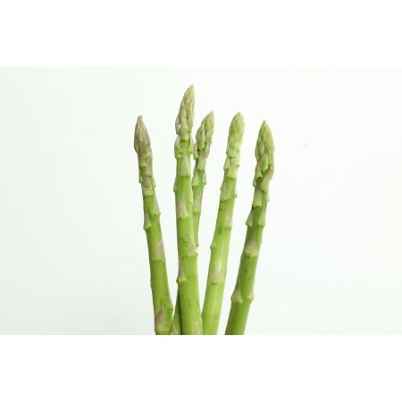 「アスパラガス」　香川県オリジナル品種　”さぬきのめざめ”　春芽　3月～4月出荷　700g