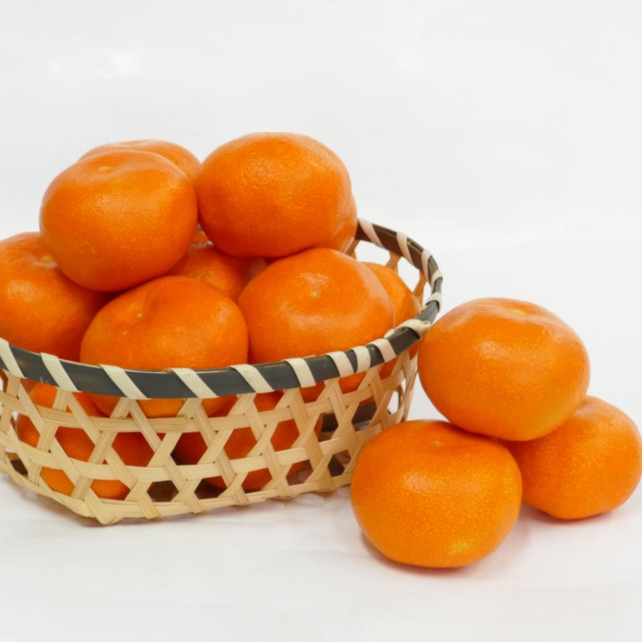 小原紅早生みかん5kg(S~Lサイズ)