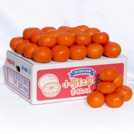 小原紅早生みかん5kg(S～Lサイズ)