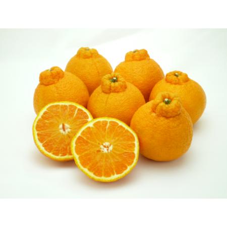 デコポン「不知火」3kg(M～2Lサイズ)