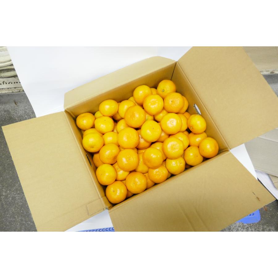 温州みかん5kg( S~Lサイズ)