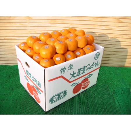 温州みかん10kg( S～Lサイズ)