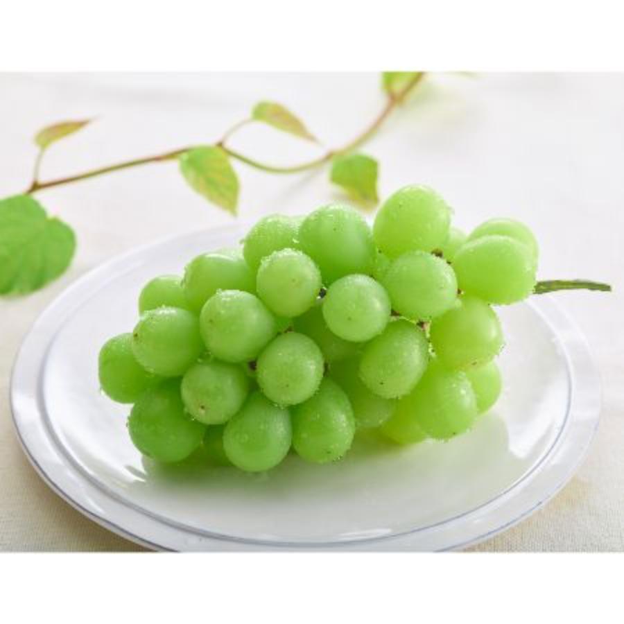 シャインマスカット1房(600g）化粧箱