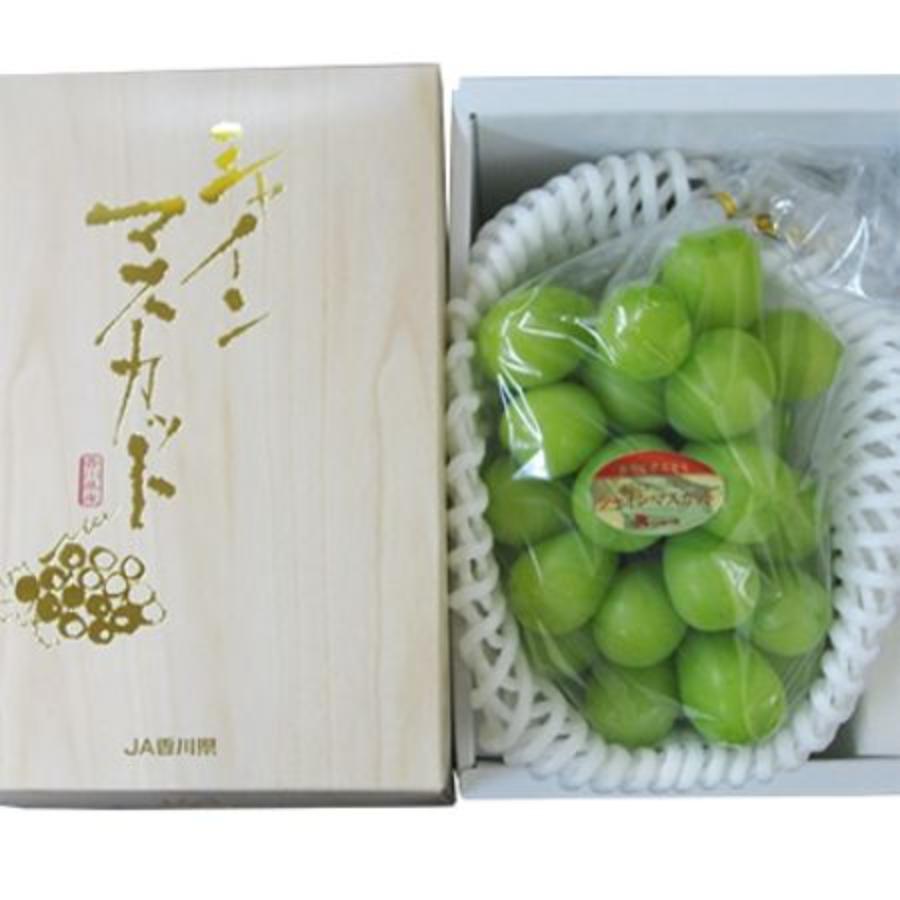 シャインマスカット1房(600g）化粧箱