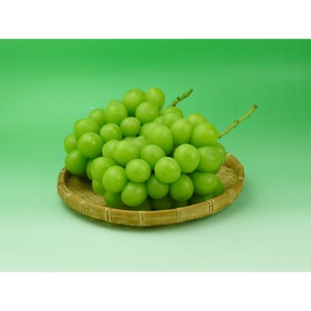 シャインマスカット1kg【2～3房】旬のもぎたて特秀品