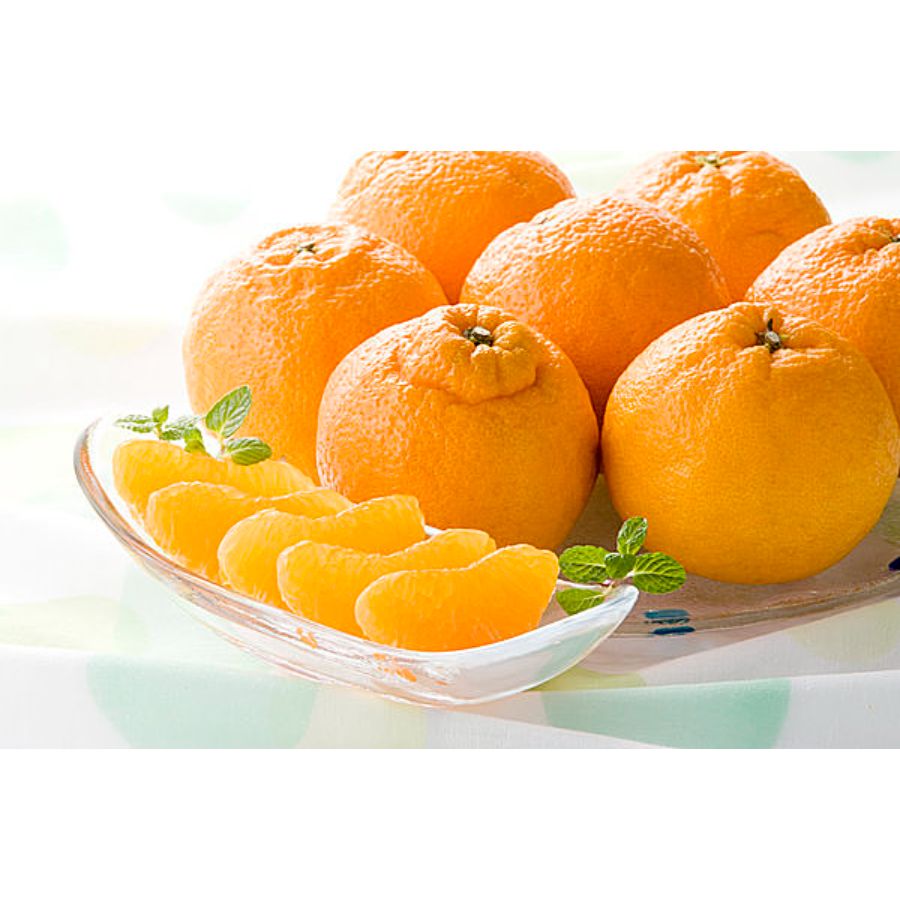 「しらぬい」秀品（2L～4L）3kg（8～10個)