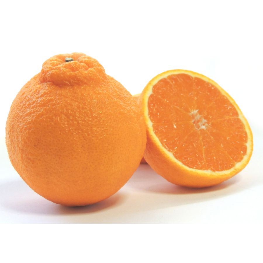 「しらぬい」秀品（2L～4L）3kg（8～10個)