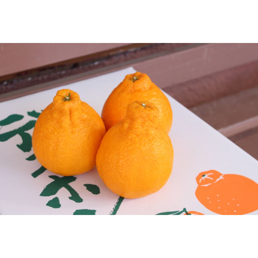 「しらぬい」秀品（2L～4L）3kg（8～10個)