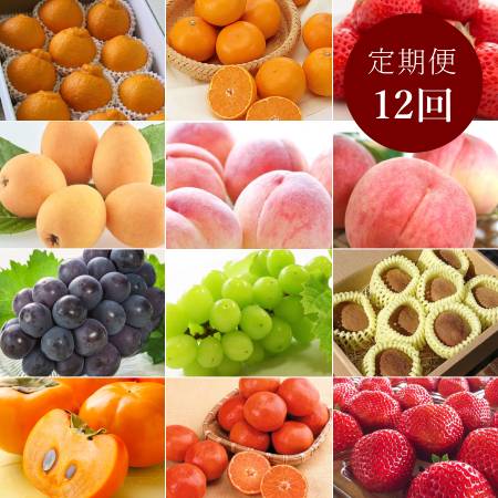 さぬきの果物「秀品」【12回定期便】受付期間：4月～7月