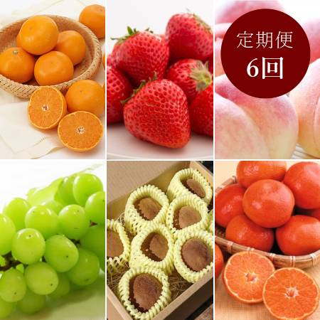 さぬきの果物「秀品」【6回定期便】受付期間：4月～9月