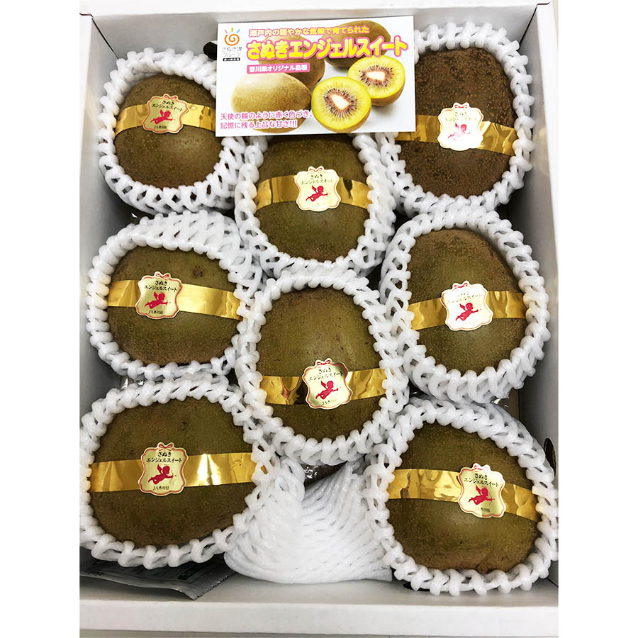さぬきエンジェルスイートキウイ1kg化粧箱