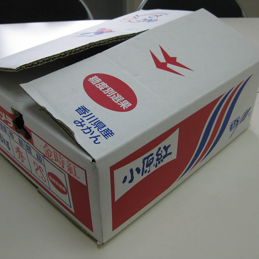 小原紅早生みかん4.8kg