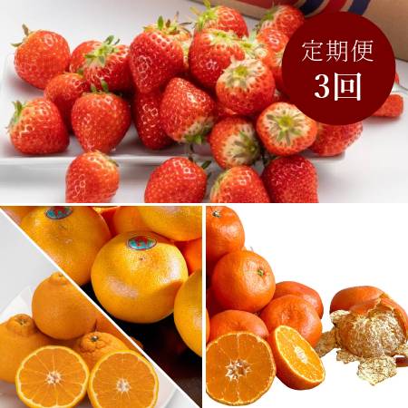 冬のいいとこどり果物【3回定期便】