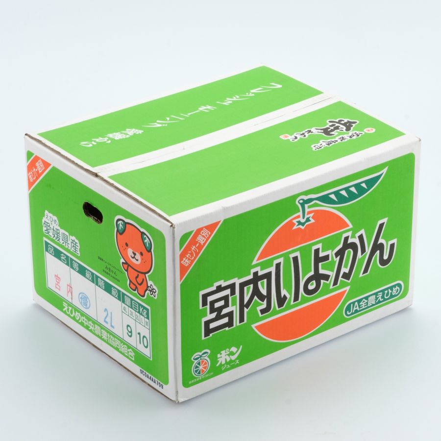 「宮内いよかん」　L～3Lサイズ　10kg（30～44個)【2025年1月中旬～2月下旬発送】