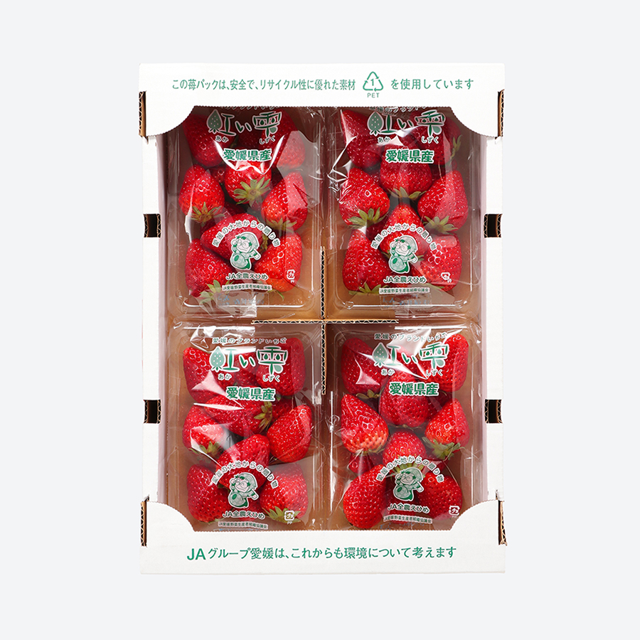 苺「紅い雫」　1箱（L～2L秀品　250ｇ×4パック）【2025年1月上旬～2月下旬発送】