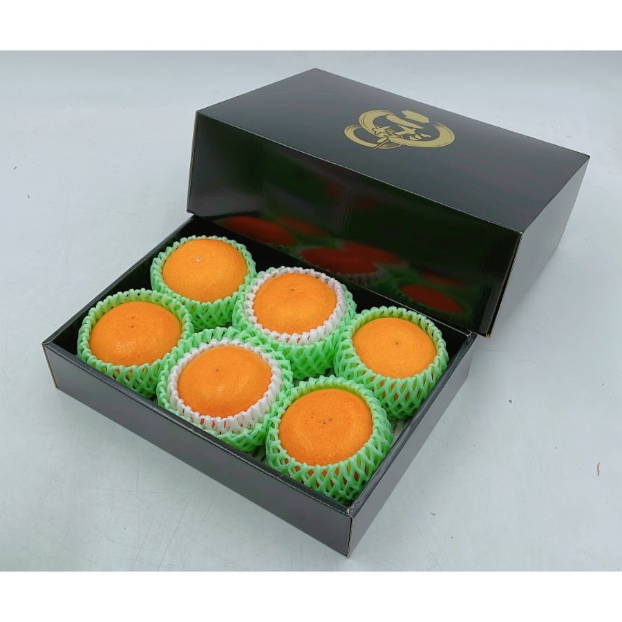 愛媛県産「せとか」２L～３Lサイズ５～６個