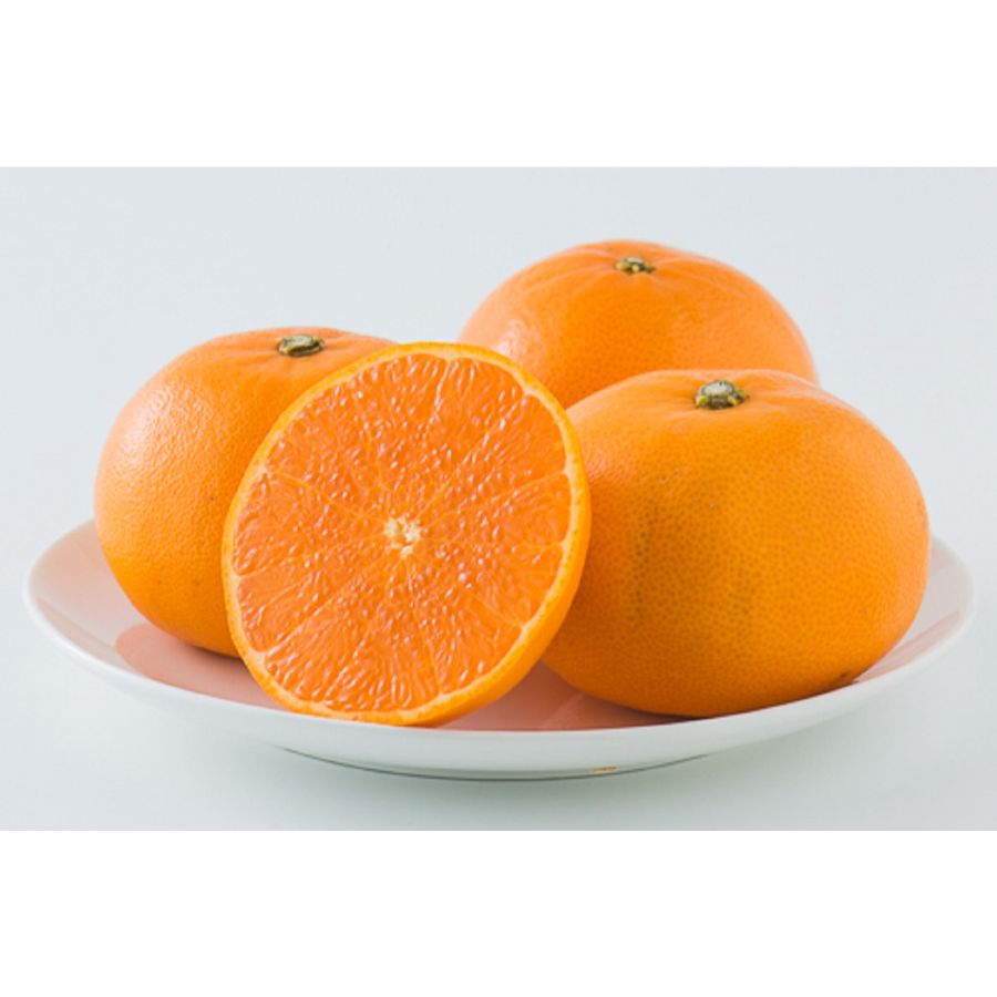 愛媛県産「せとか」２L～３Lサイズ５～６個