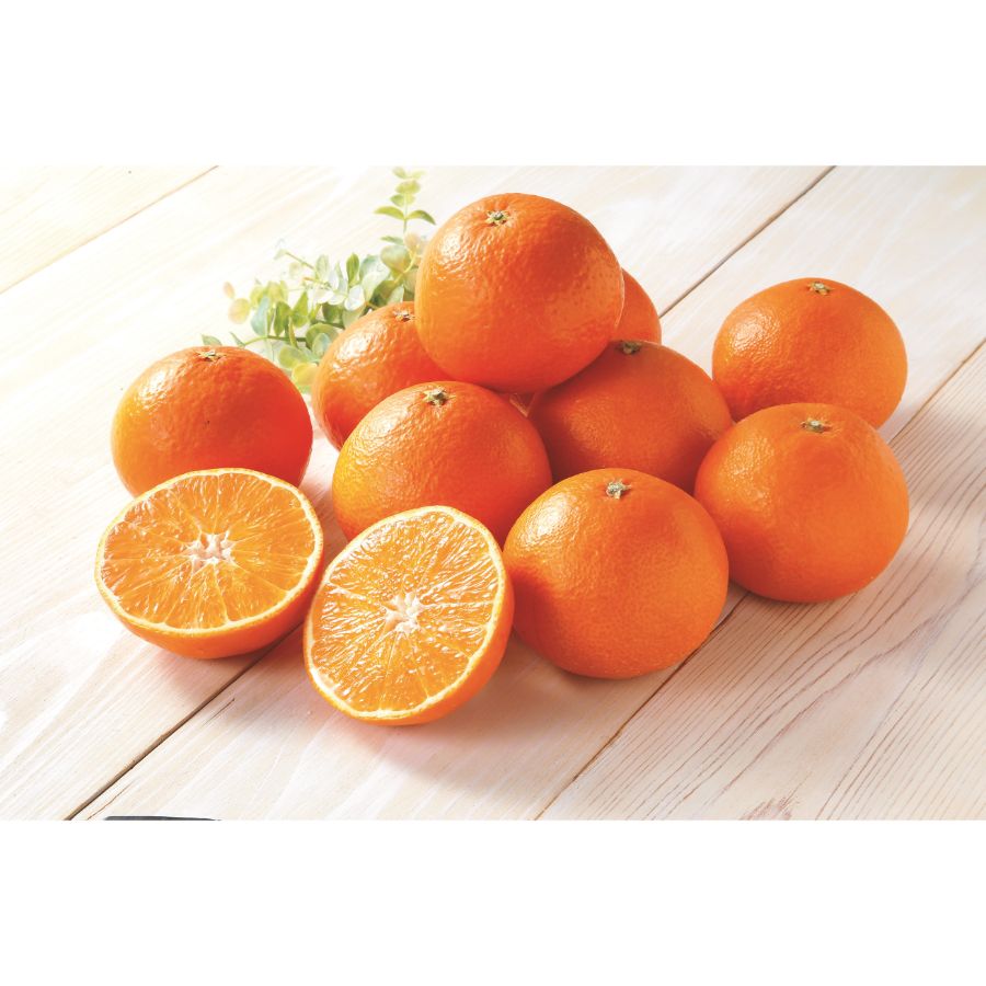 「紅まどんな」5kg(14個~24個)