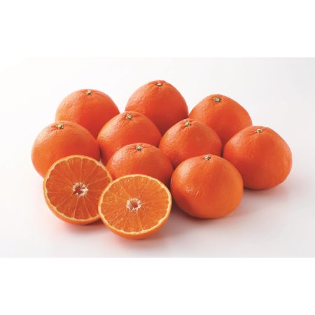 「紅まどんな」5kg（14個～24個）