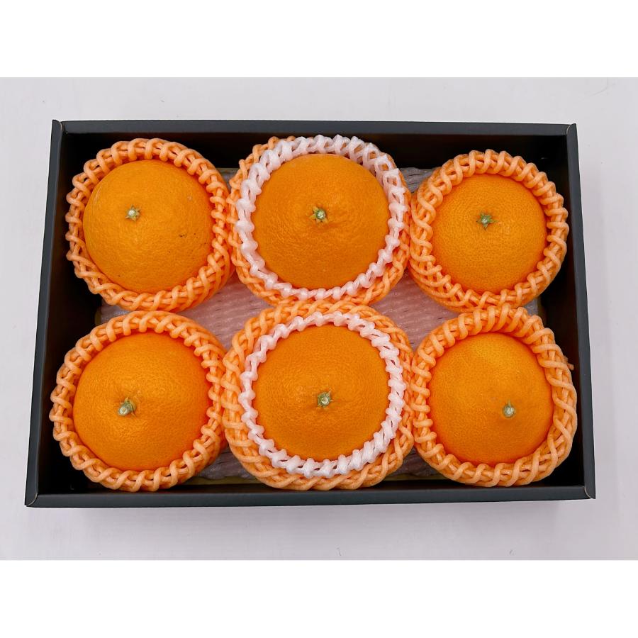 ＜愛媛県産＞「紅プリンセス」2L～3Lサイズ　5～6個　