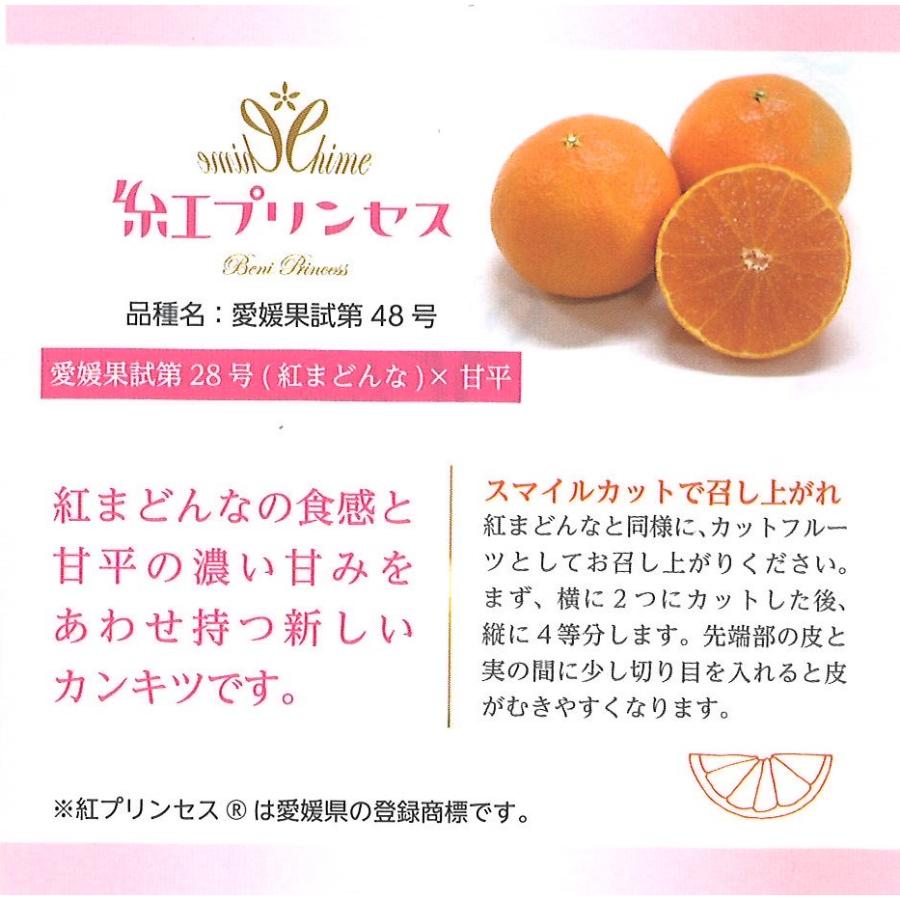 ＜愛媛県産＞「紅プリンセス」2L～3Lサイズ　5～6個　