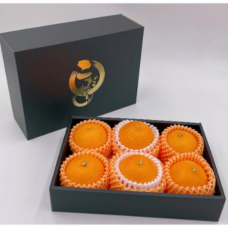 ＜愛媛県産＞「紅プリンセス」2L～3Lサイズ　5～6個　