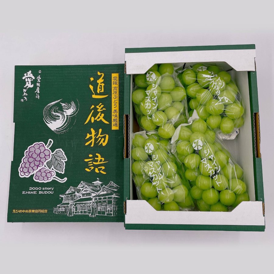 ＜愛媛県産＞「道後物語」シャインマスカット4房　2kg