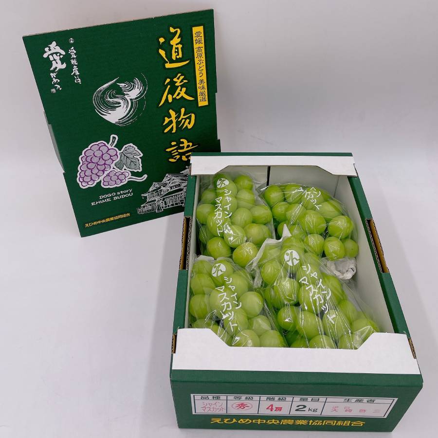 ＜愛媛県産＞「道後物語」シャインマスカット4房　2kg