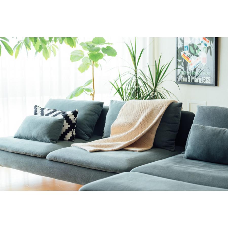 ＜FUJITAKA　TOWEL＞WAFFLE　KET/ワッフルケット　135×198cm　アイボリー