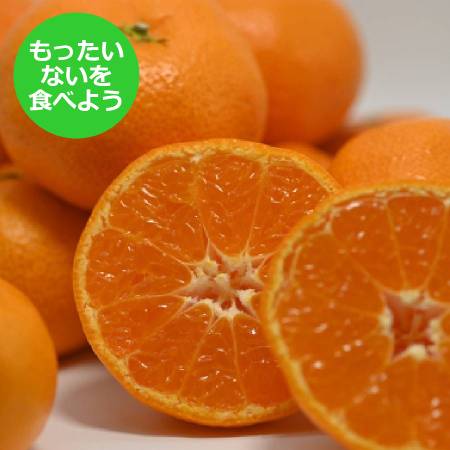 ＜玉津柑橘倶楽部＞【もったいない！を食べよう】「温州みかん」（南柑20号）５kg　　　