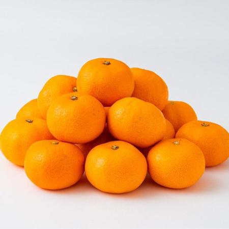 ＜宇和島青果＞宇和島みかん　2.5kg