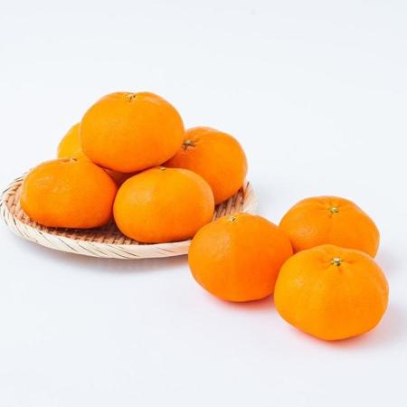 ＜宇和島青果＞甘平　2.5kg