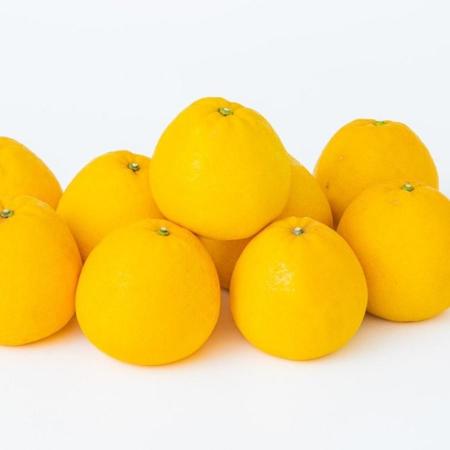 ＜宇和島青果＞河内晩柑　3kg