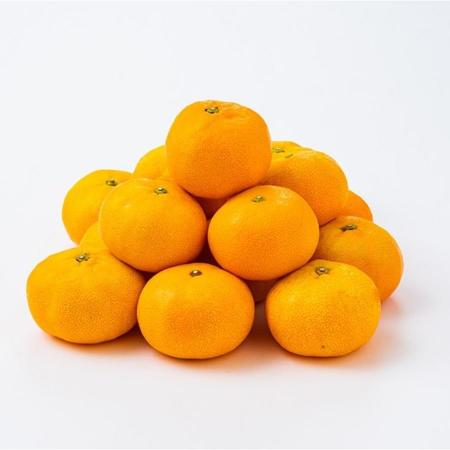 ＜宇和島青果＞温室みかん　2kg
