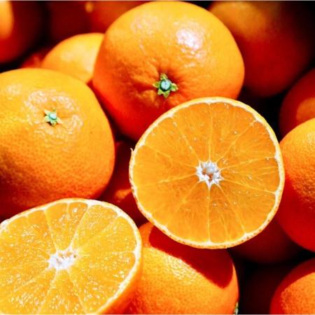＜宇和島青果＞【プレミアムシリーズ】紅まどんな2.5kg（三越伊勢丹選定）