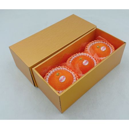 愛媛県産「紅まどんな」３Lサイズ3個