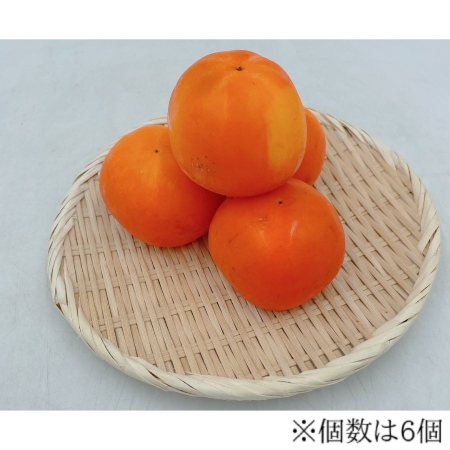 愛媛県産「よこの柿」2Lサイズ6個
