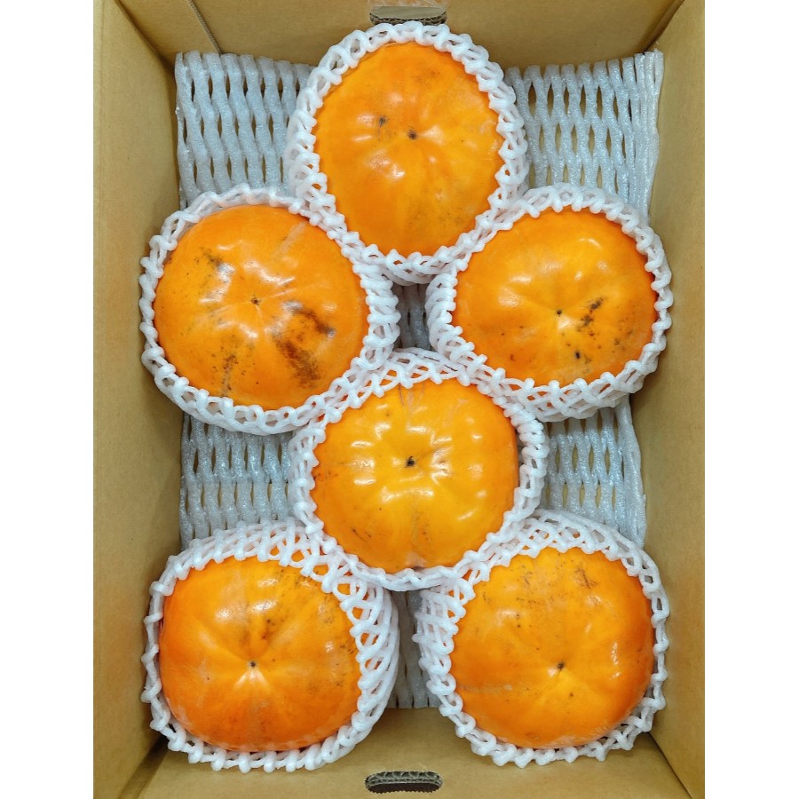 愛媛県産「太天柿」秀品　6～8玉