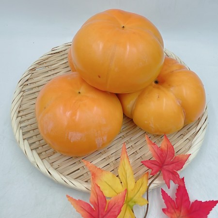愛媛県産「太天柿」秀品　6～8玉