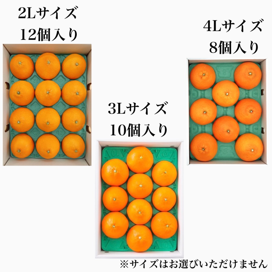 愛媛県産「紅まどんな」赤秀 2L~4Lサイズ8~12個