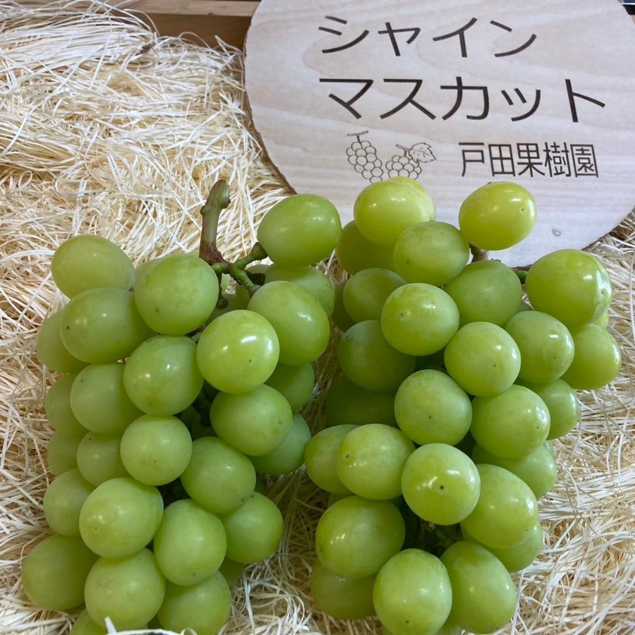 ＜戸田果樹園＞シャインマスカット1kg(1～2房)