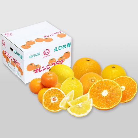 愛媛県産　柑橘食べ比べセット　おまかせ6種　計9kg