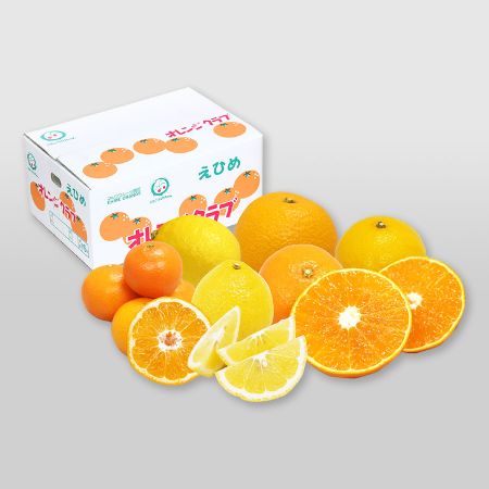 愛媛県産　柑橘食べ比べセット　おまかせ4種　計4.5kg