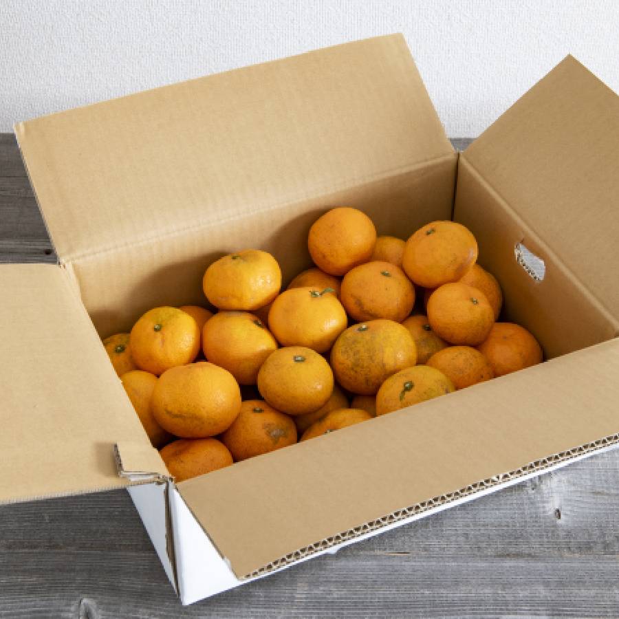 ＜無茶々園＞見た目は悪いが味は絶品　温州みかん（南柑20号）3kg