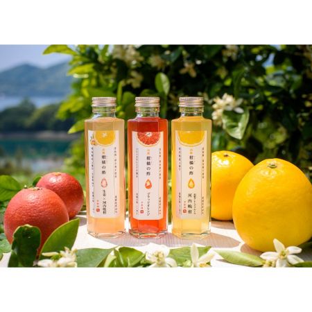 ＜季節園＞柑橘の酢（3種類）170ml×3本