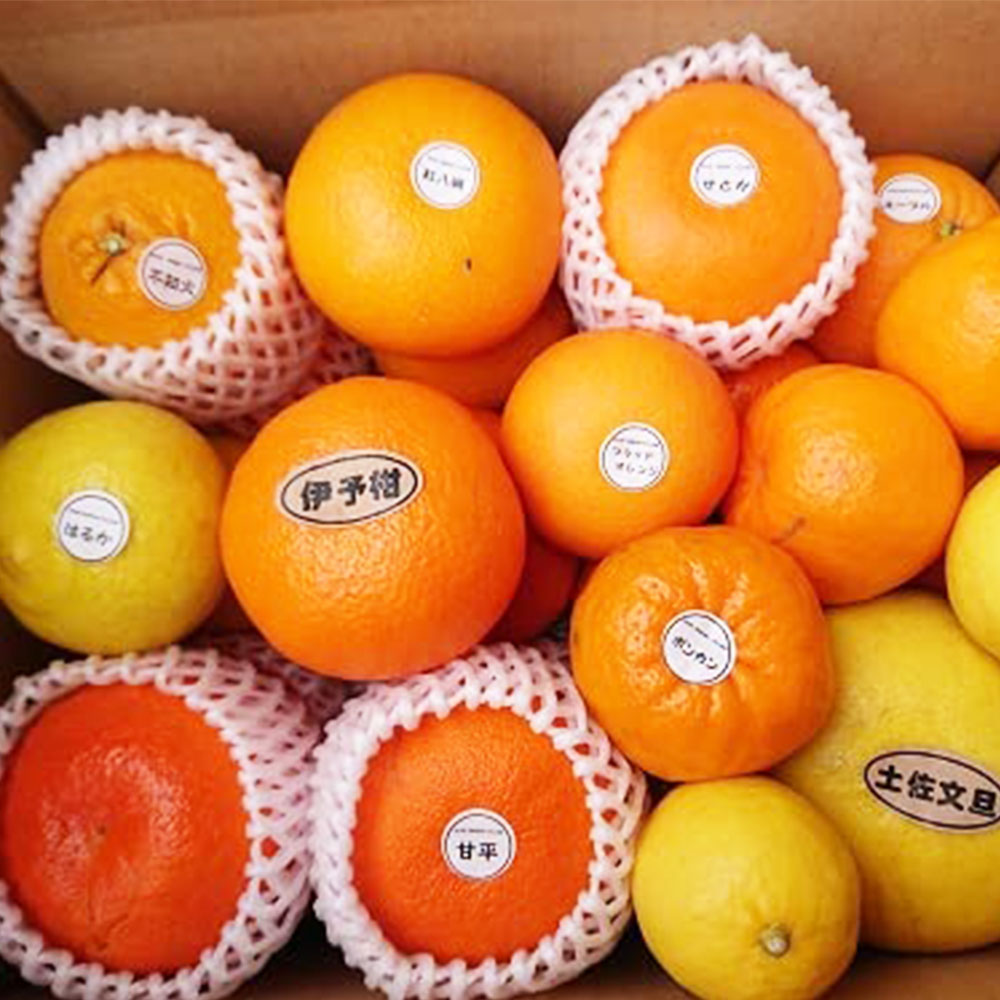 ＜清家ばんかんビレッジ＞柑橘詰合せ「まどんな」入り　その他おまかせ（M～3Lサイズ）3kg