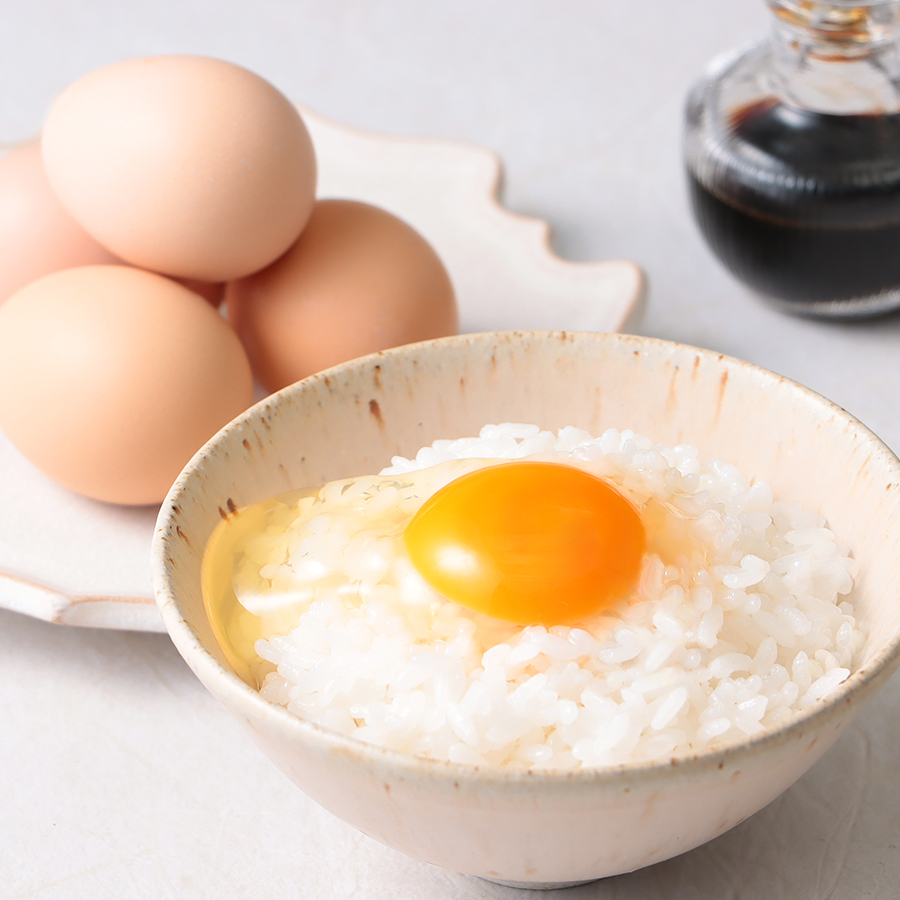 ＜とさやま養鶏場＞土佐ジロー鶏卵(10個×4パック)定期便３カ月コース