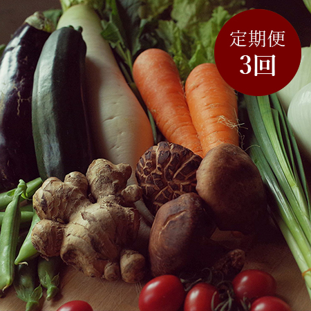 【土佐野菜】朝採れ土佐野菜とはでかけ米2kgセット　定期便3回